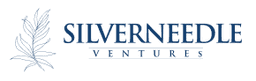 Silverneedle Ventures